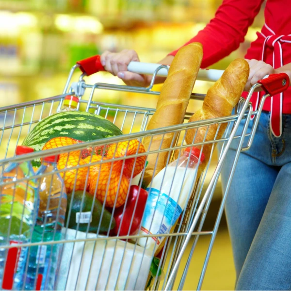 Alimentation